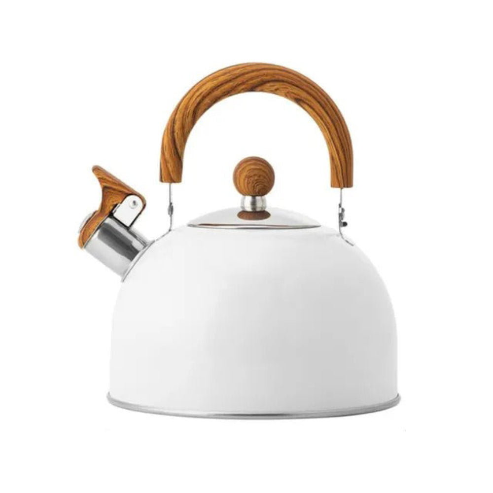 Whistling Stove Kettle Quick Boil Design for Daily Use