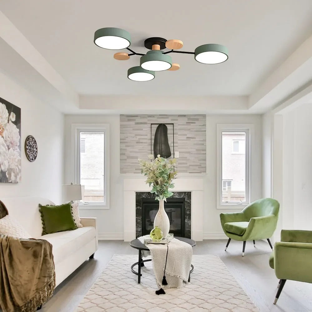 Flush Mount Ceiling Light Modern LED Room Illumination