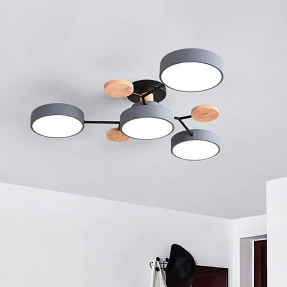 Flush Mount Ceiling Light Modern LED Room Illumination