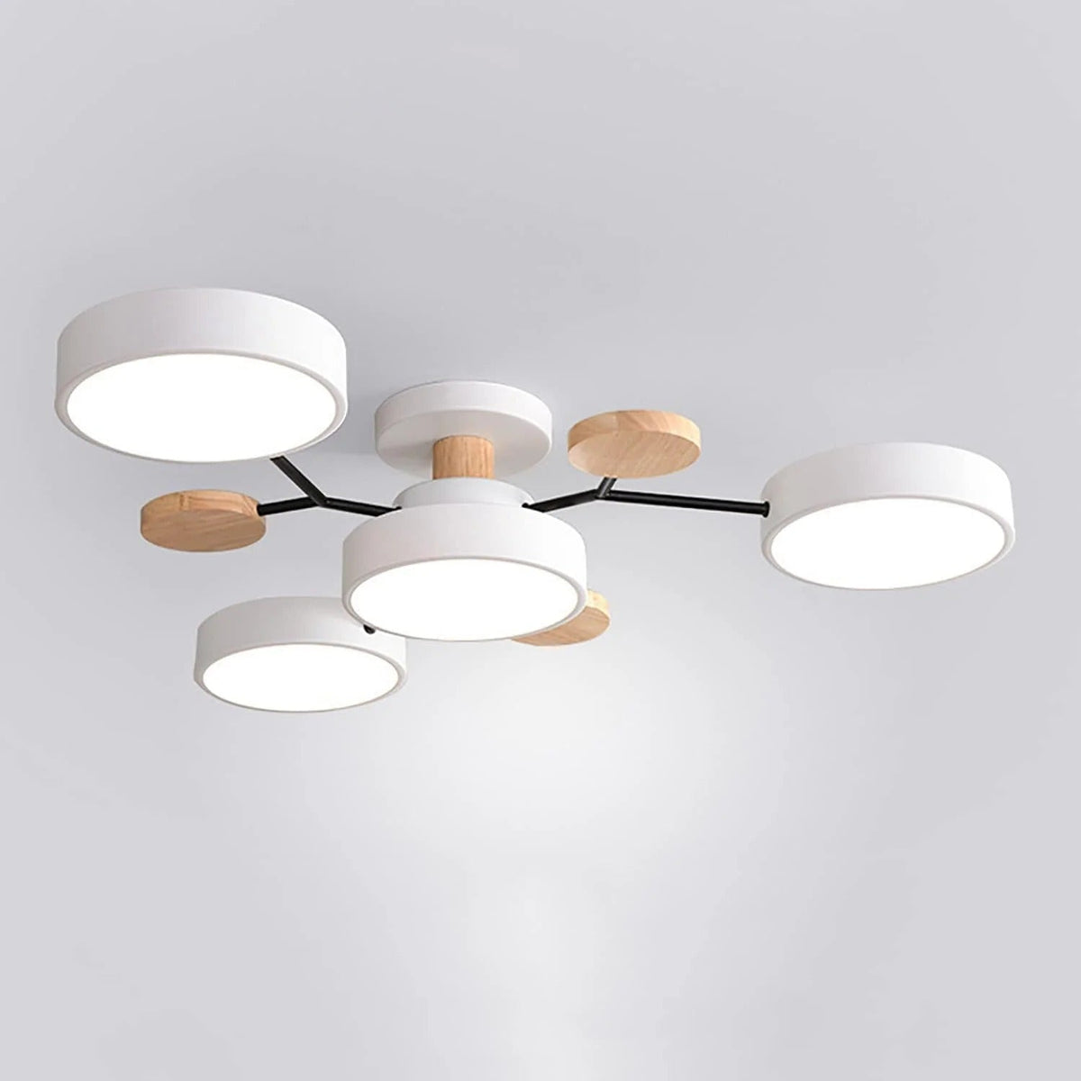 Flush Mount Ceiling Light Modern LED Room Illumination