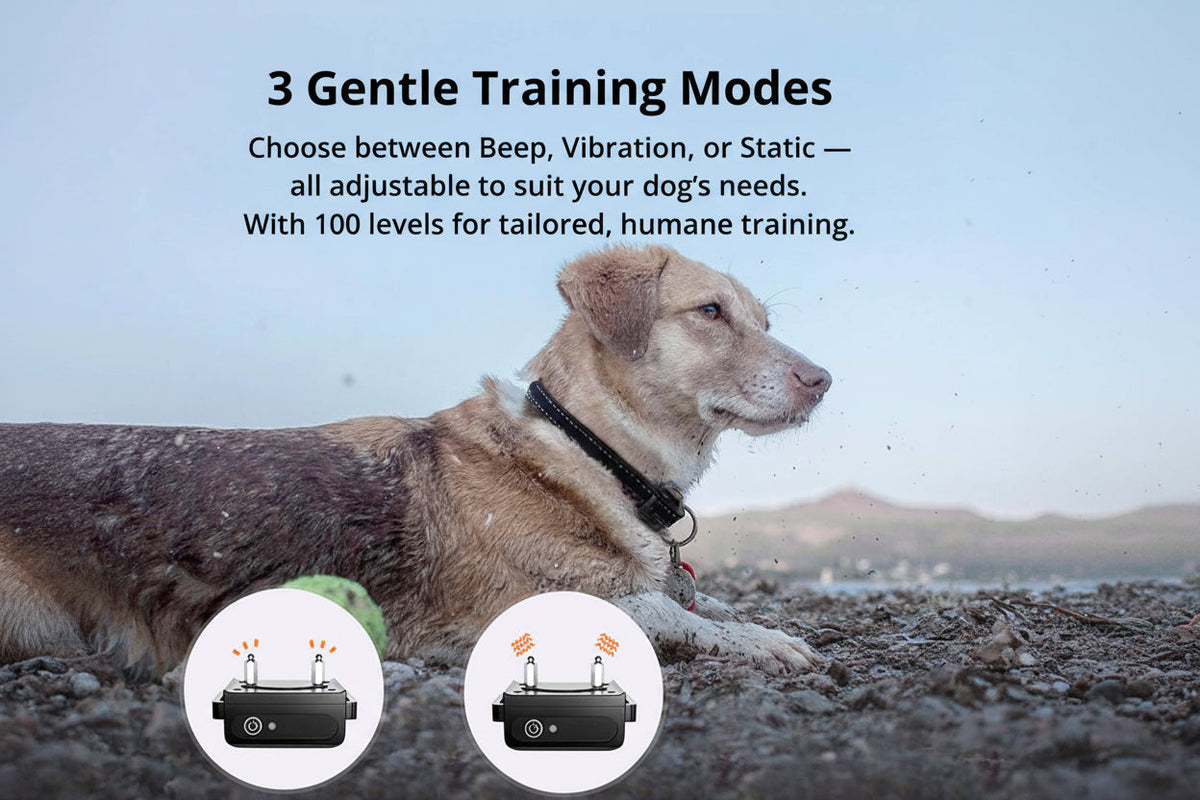 Long‑Range Waterproof Dog Training Collar with 3 Modes