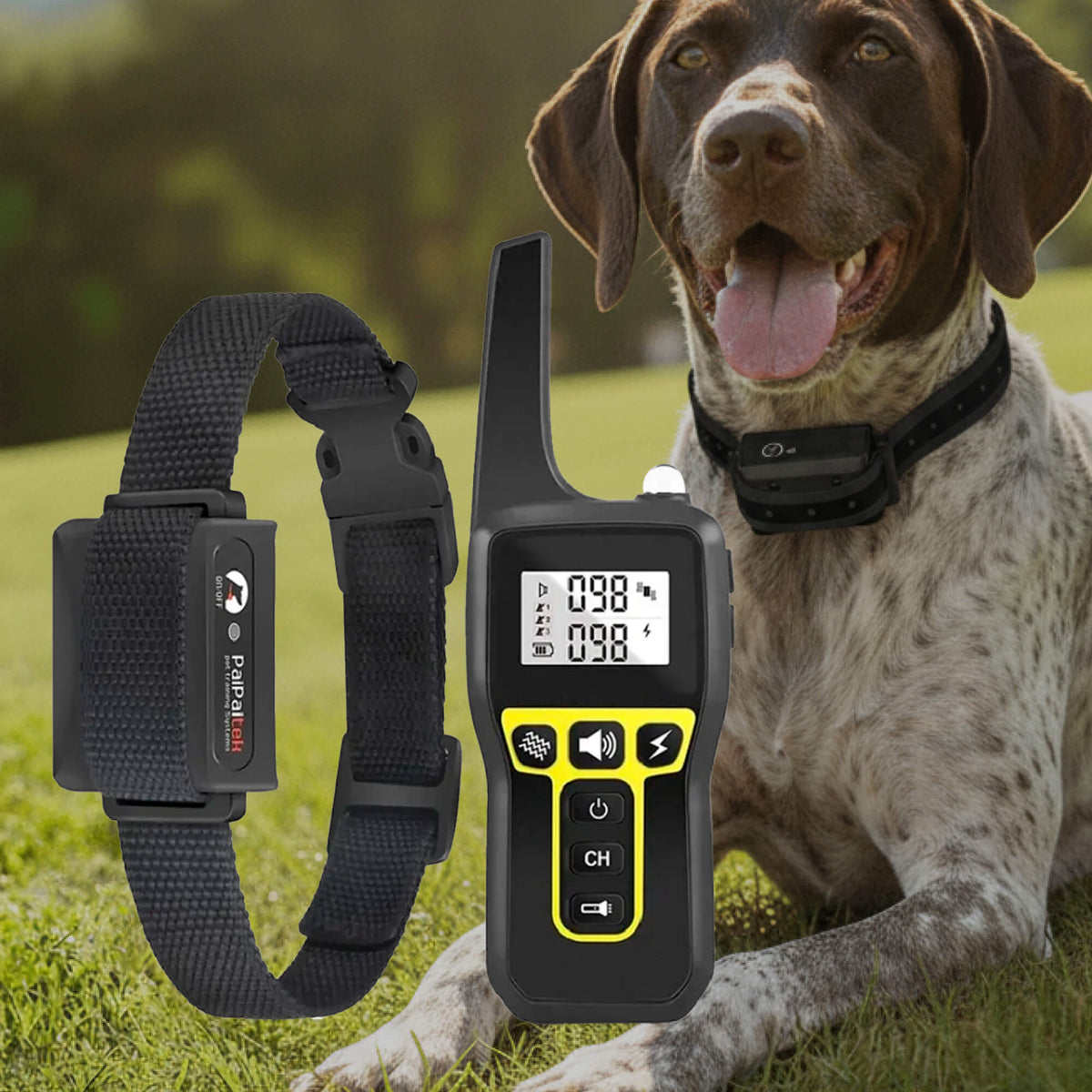 Long‑Range Waterproof Dog Training Collar with 3 Modes