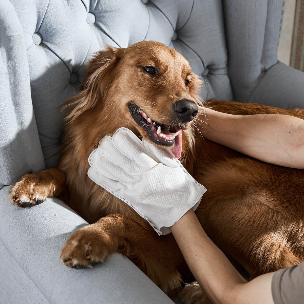 Pet Cleaning Gloves Quick Hygiene Wipes for Pets