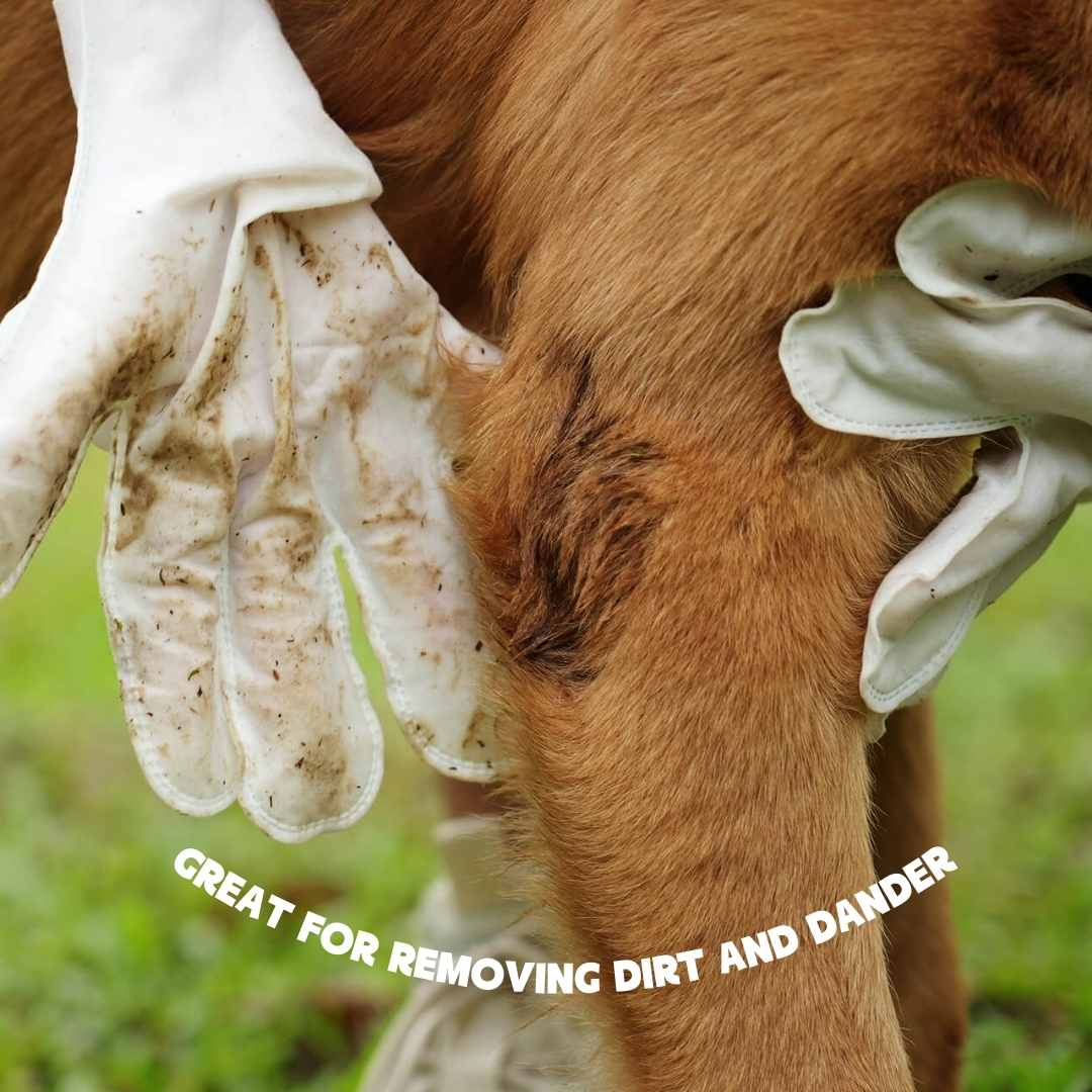 Pet Cleaning Gloves Quick Hygiene Wipes for Pets