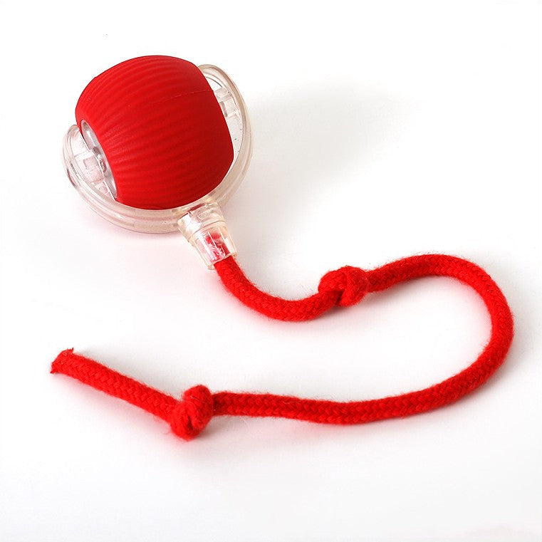 Rechargeable Cat Play Toy with Rolling Action