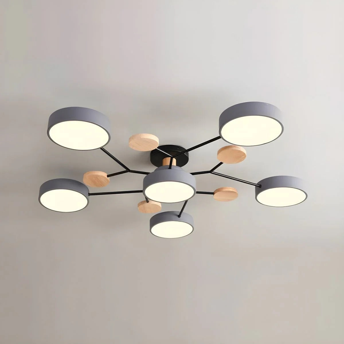 Flush Mount Ceiling Light Modern LED Room Illumination