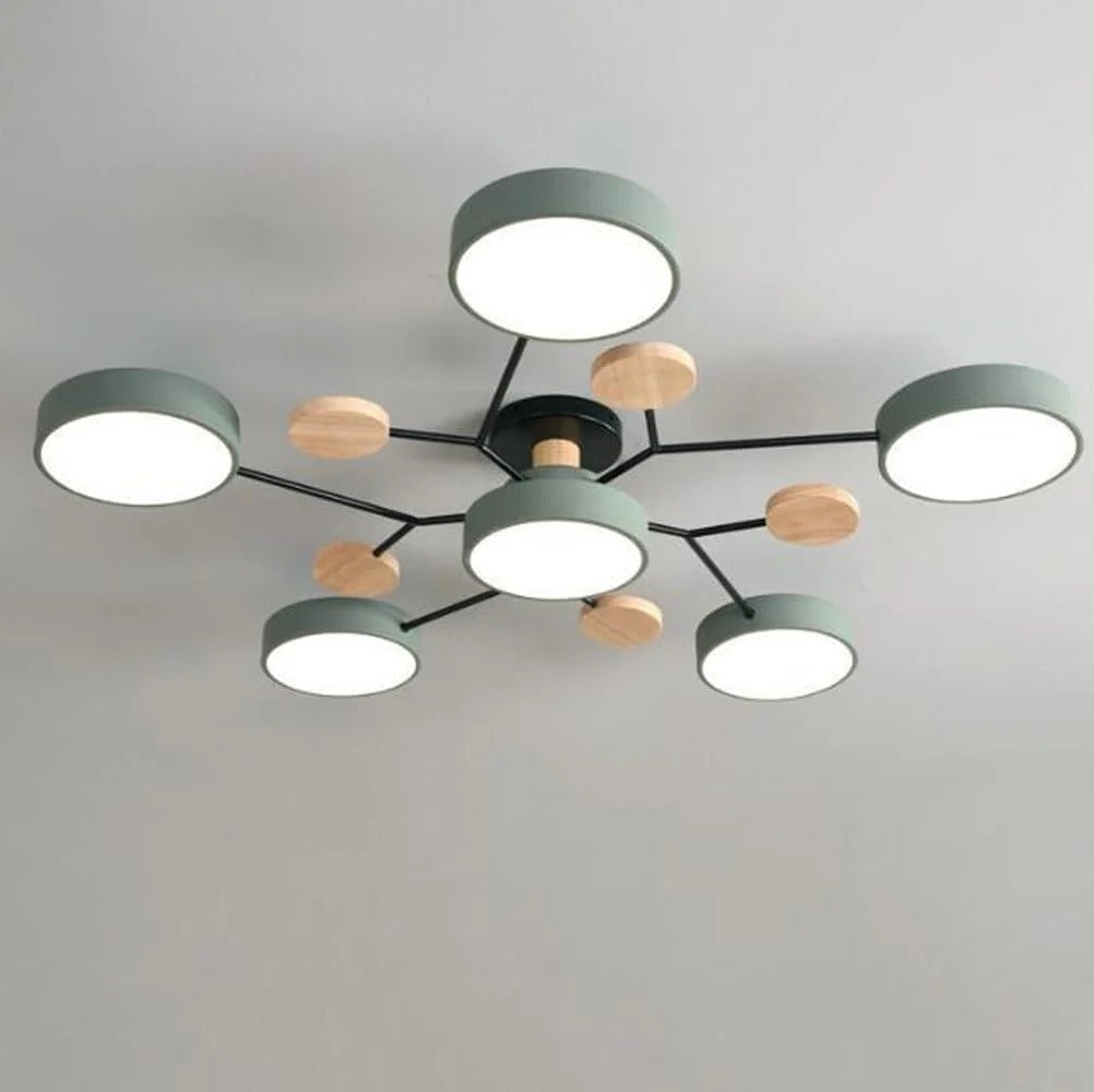 Flush Mount Ceiling Light Modern LED Room Illumination