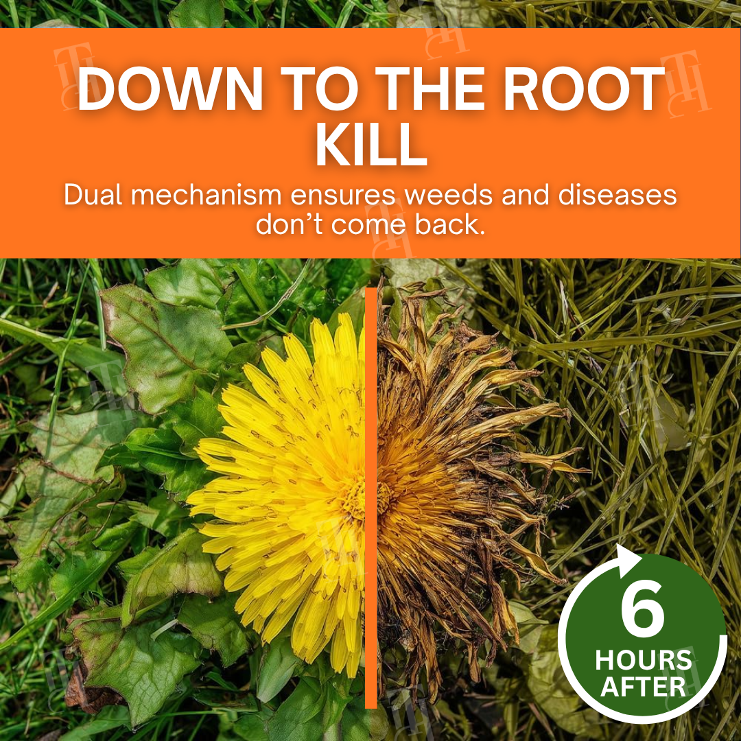 2-in-1 Max Power Herbicide