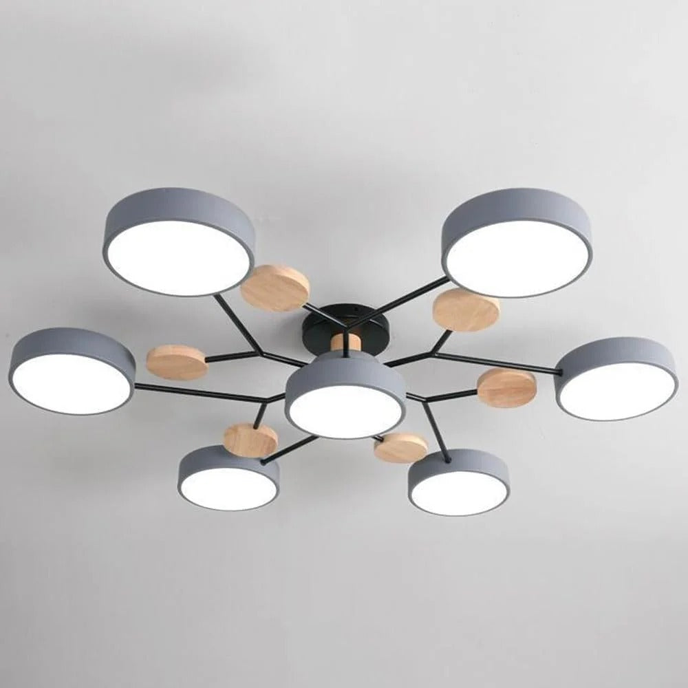 Flush Mount Ceiling Light Modern LED Room Illumination