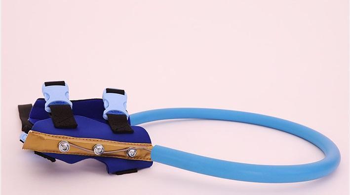 Protective Bumper Collar Harness Mobility Aid for Blind Dogs