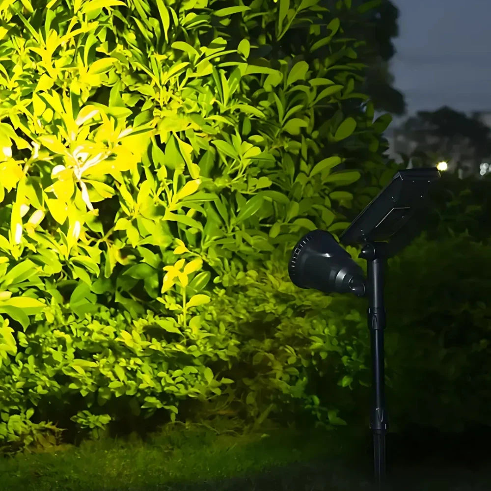 Weather‑Resistant Solar Floodlight Adjustable LED for Pathways