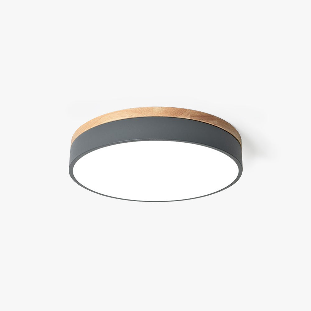 Smart Ceiling Light Round Dimmable Lighting for Modern Rooms
