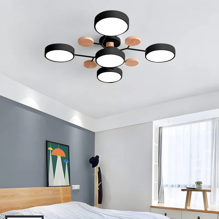 Flush Mount Ceiling Light Modern LED Room Illumination