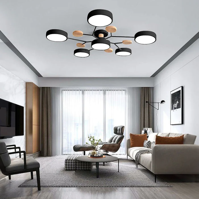 Flush Mount Ceiling Light Modern LED Room Illumination