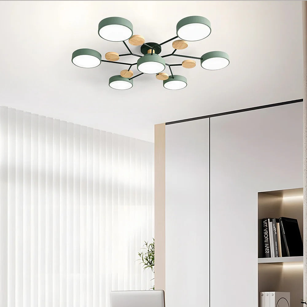 Flush Mount Ceiling Light Modern LED Room Illumination