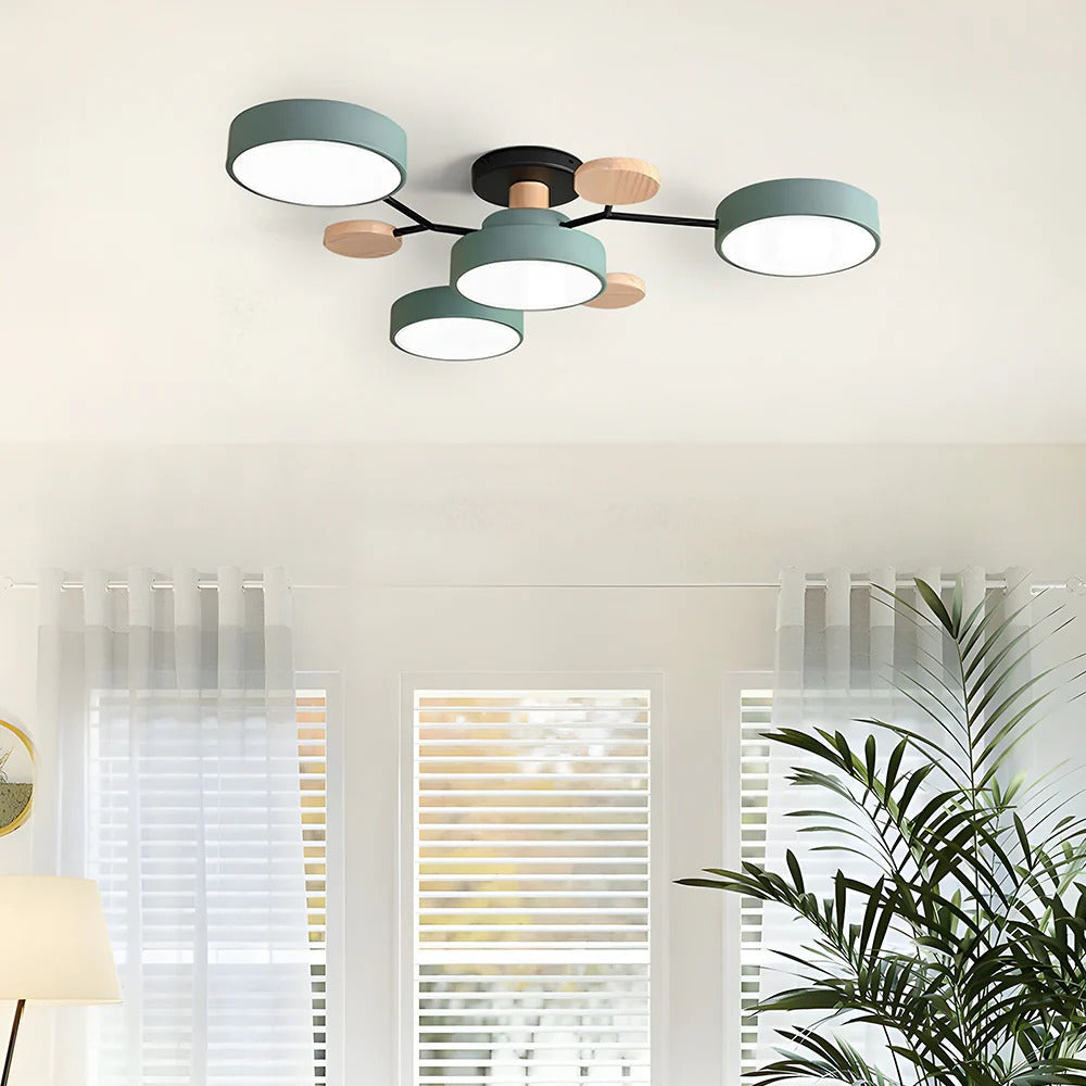 Flush Mount Ceiling Light Modern LED Room Illumination