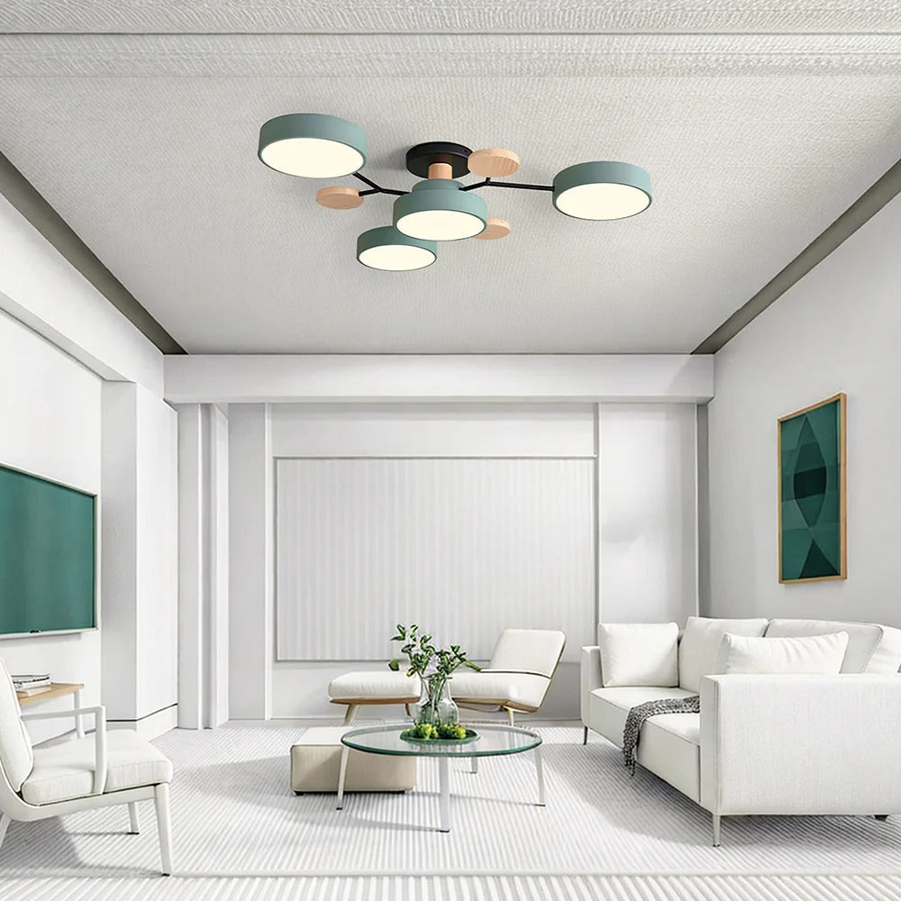 Flush Mount Ceiling Light Modern LED Room Illumination