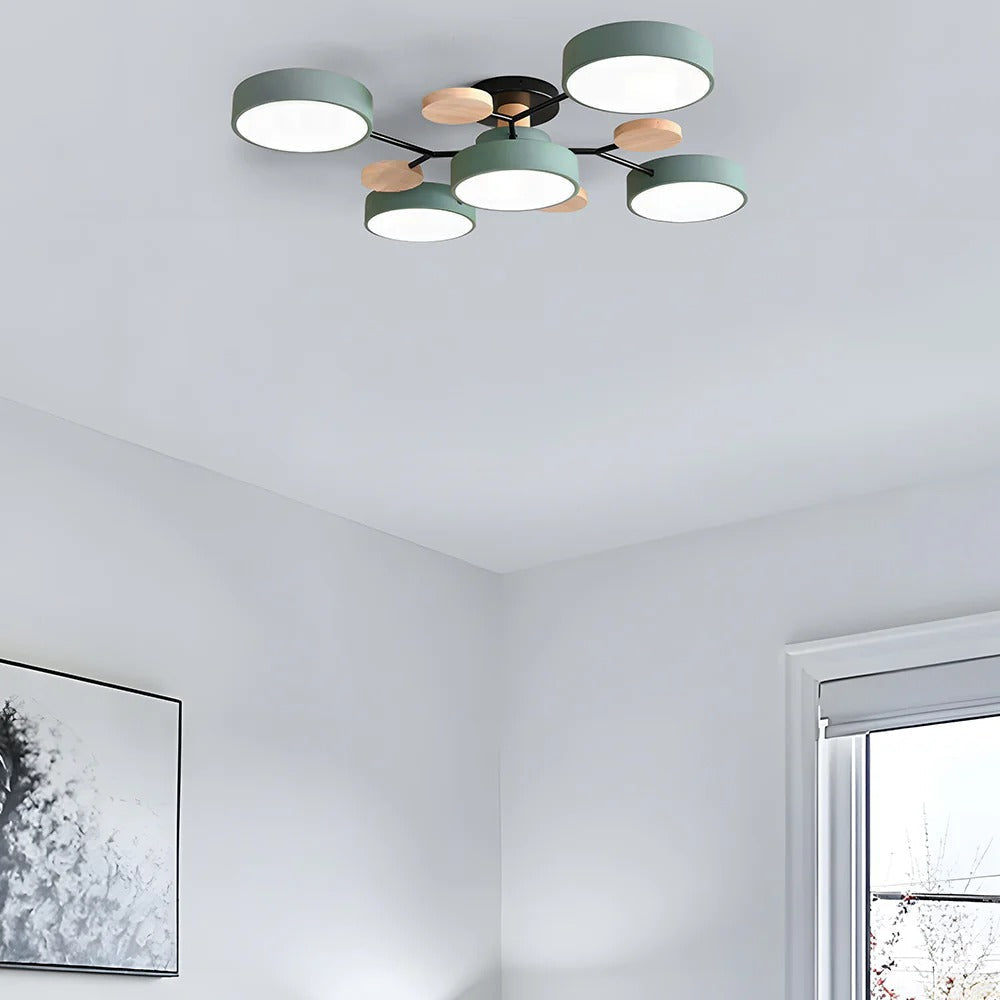 Flush Mount Ceiling Light Modern LED Room Illumination