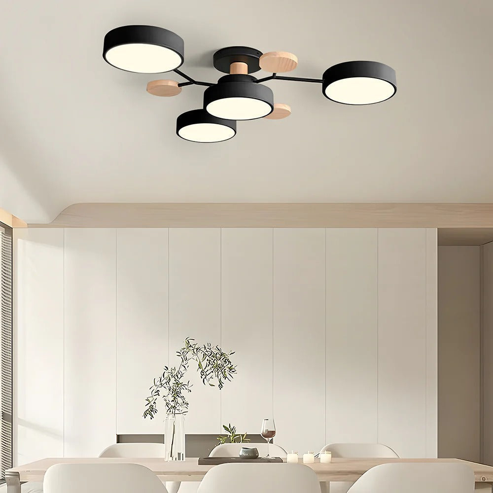 Flush Mount Ceiling Light Modern LED Room Illumination