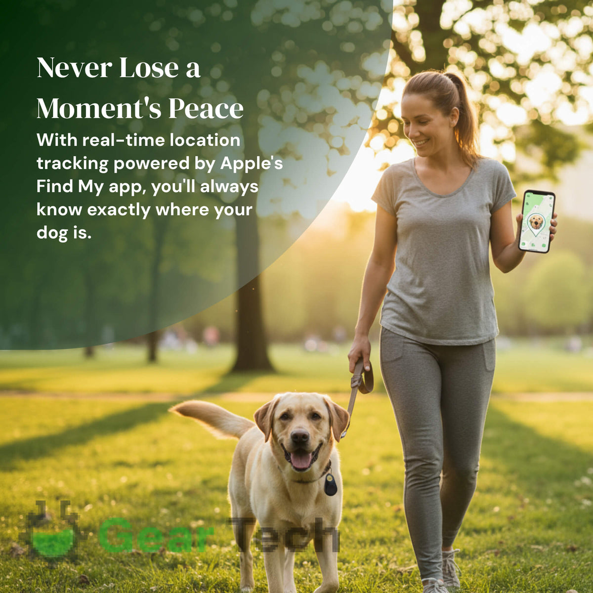 Reliable Dog GPS Tracker No Monthly Fees, Real‑Time Location Updates
