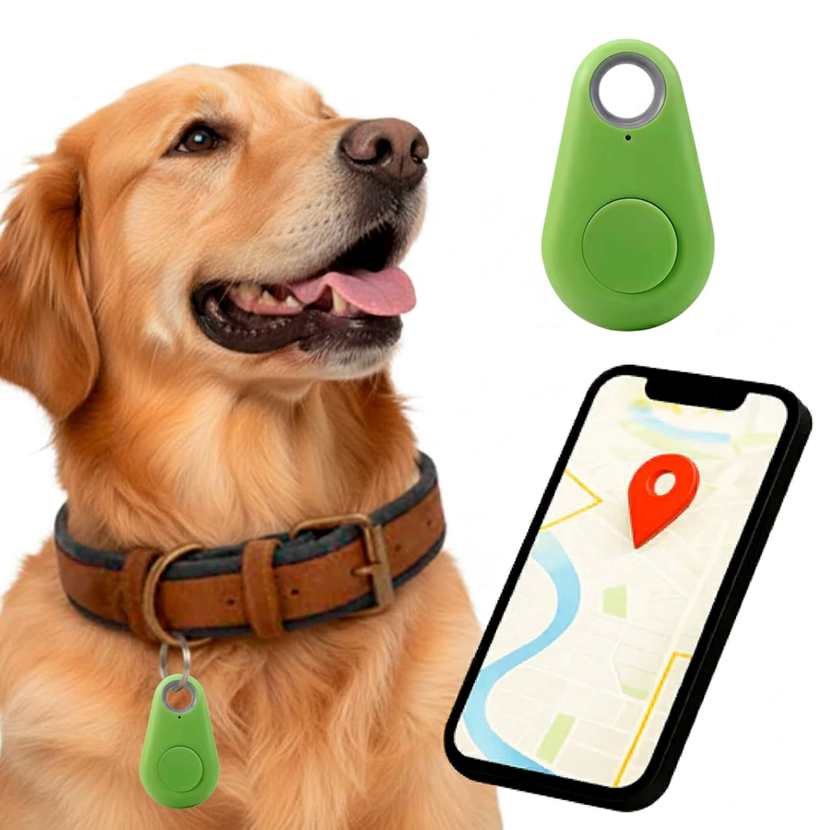 Reliable Dog GPS Tracker No Monthly Fees, Real‑Time Location Updates