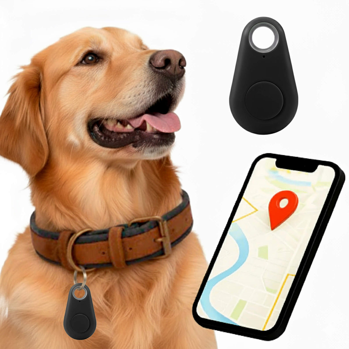 Reliable Dog GPS Tracker No Monthly Fees, Real‑Time Location Updates