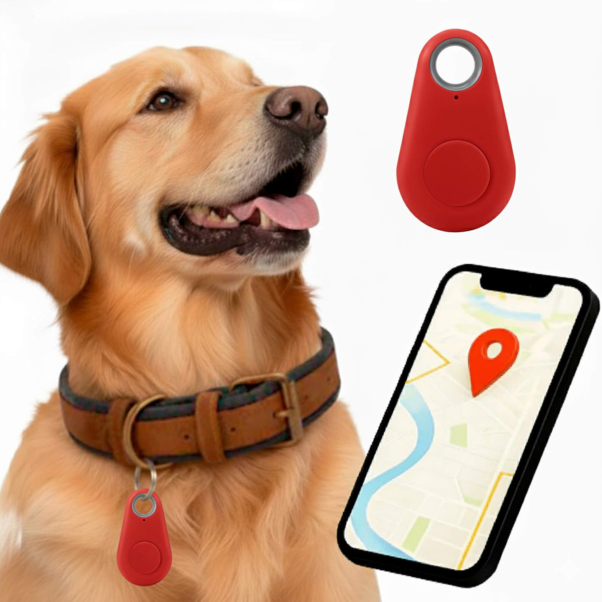 Reliable Dog GPS Tracker No Monthly Fees, Real‑Time Location Updates