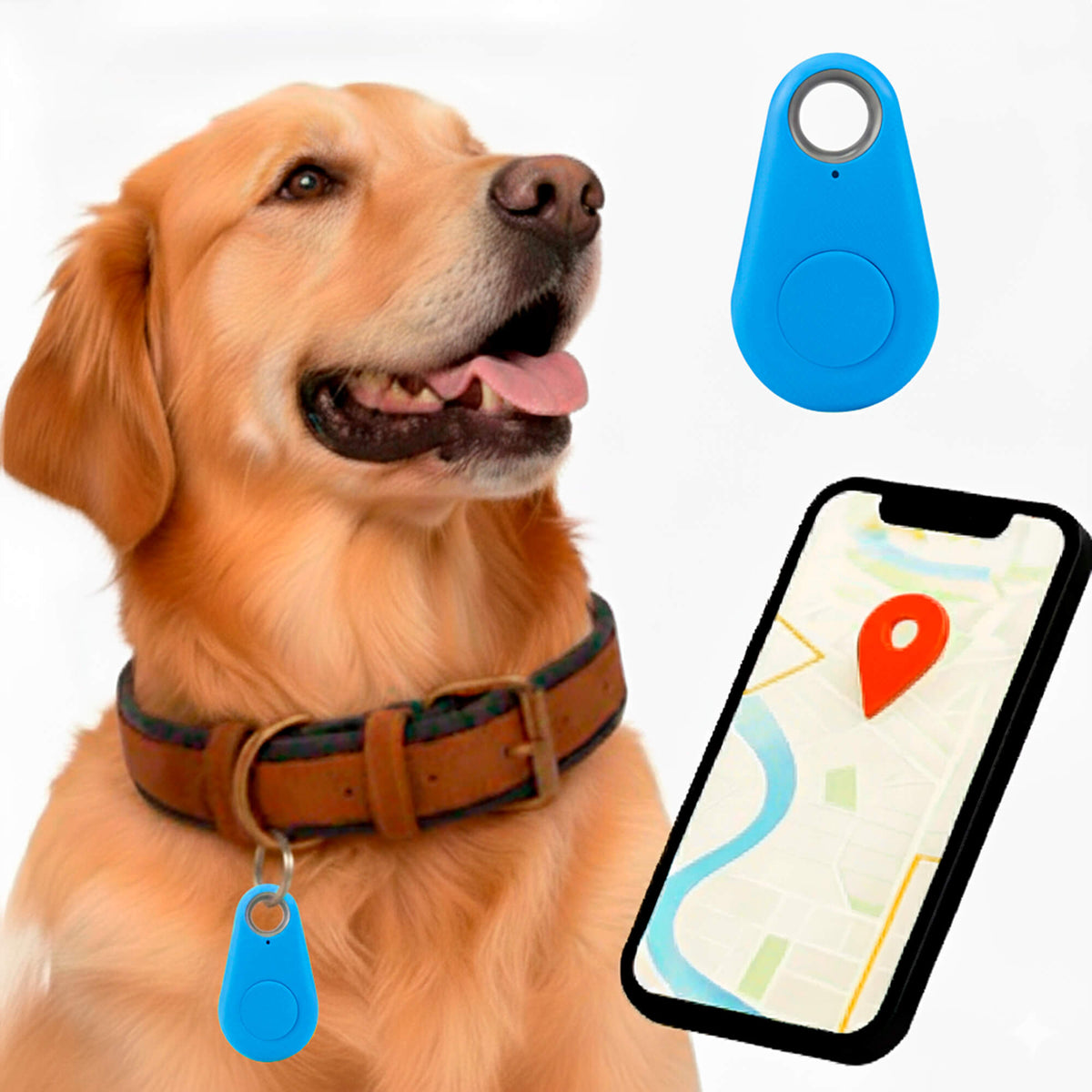 Reliable Dog GPS Tracker No Monthly Fees, Real‑Time Location Updates