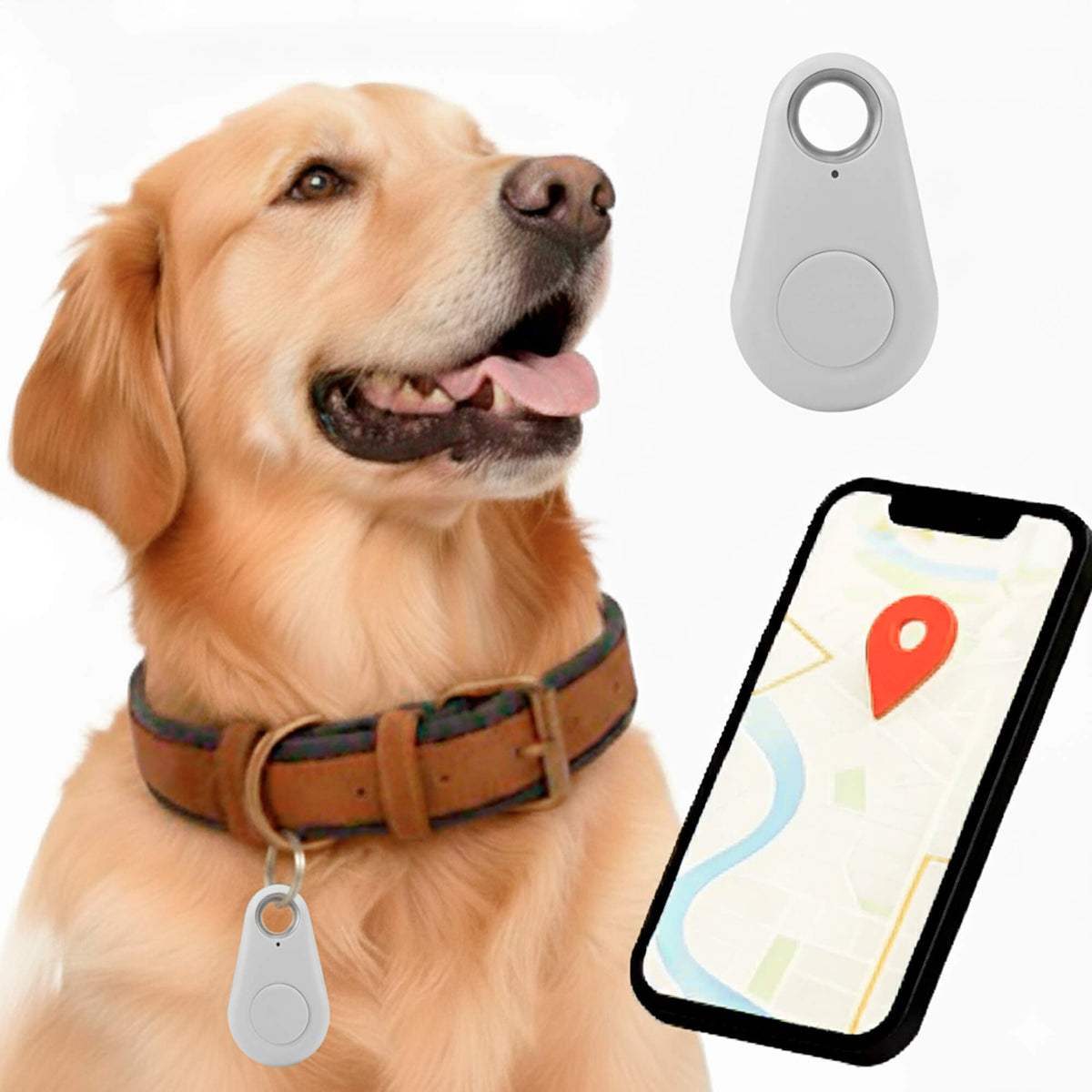 Reliable Dog GPS Tracker No Monthly Fees, Real‑Time Location Updates