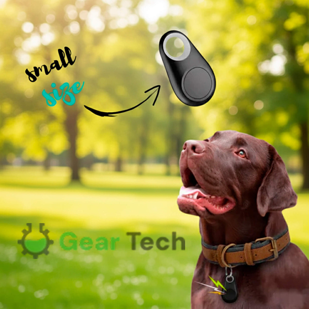 Reliable Dog GPS Tracker No Monthly Fees, Real‑Time Location Updates