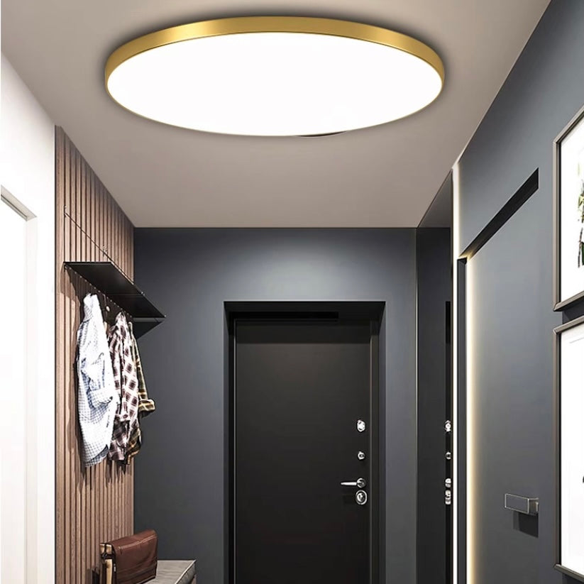 Modern Round LED Ceiling Light Bright Flush Mount Indoor Lighting