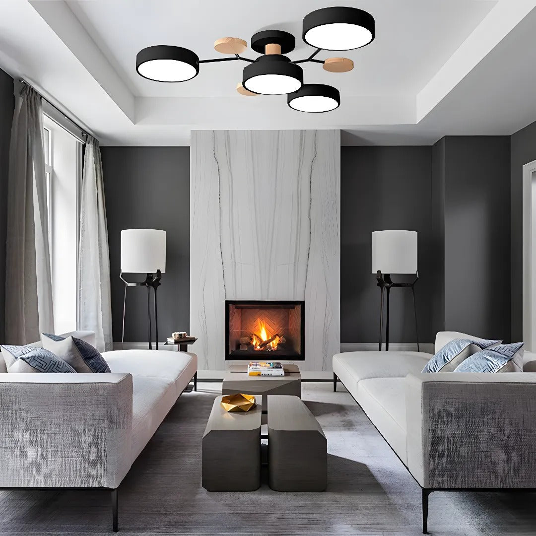 Flush Mount Ceiling Light Modern LED Room Illumination