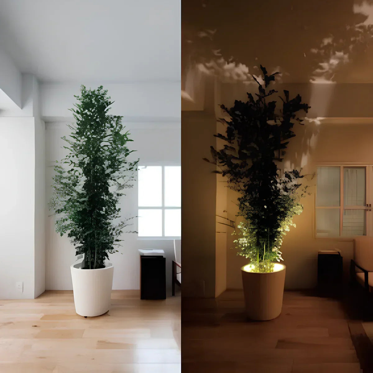 Wireless Adjustable Wall Spotlight with Remote Control