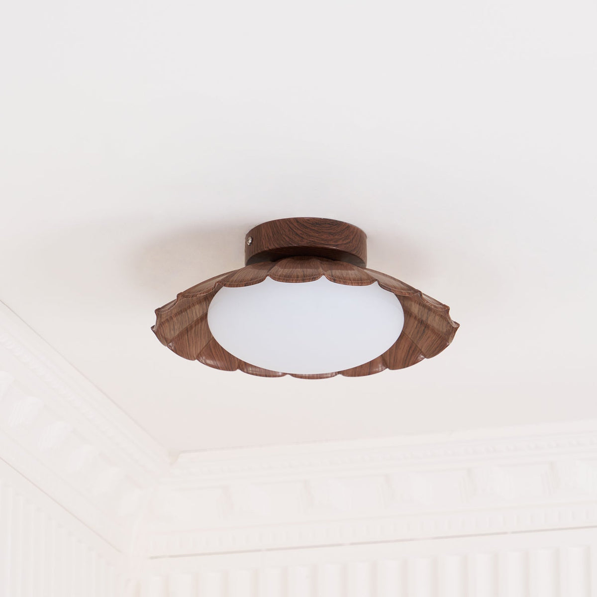 Compact Ceiling Lights with Stylish Design