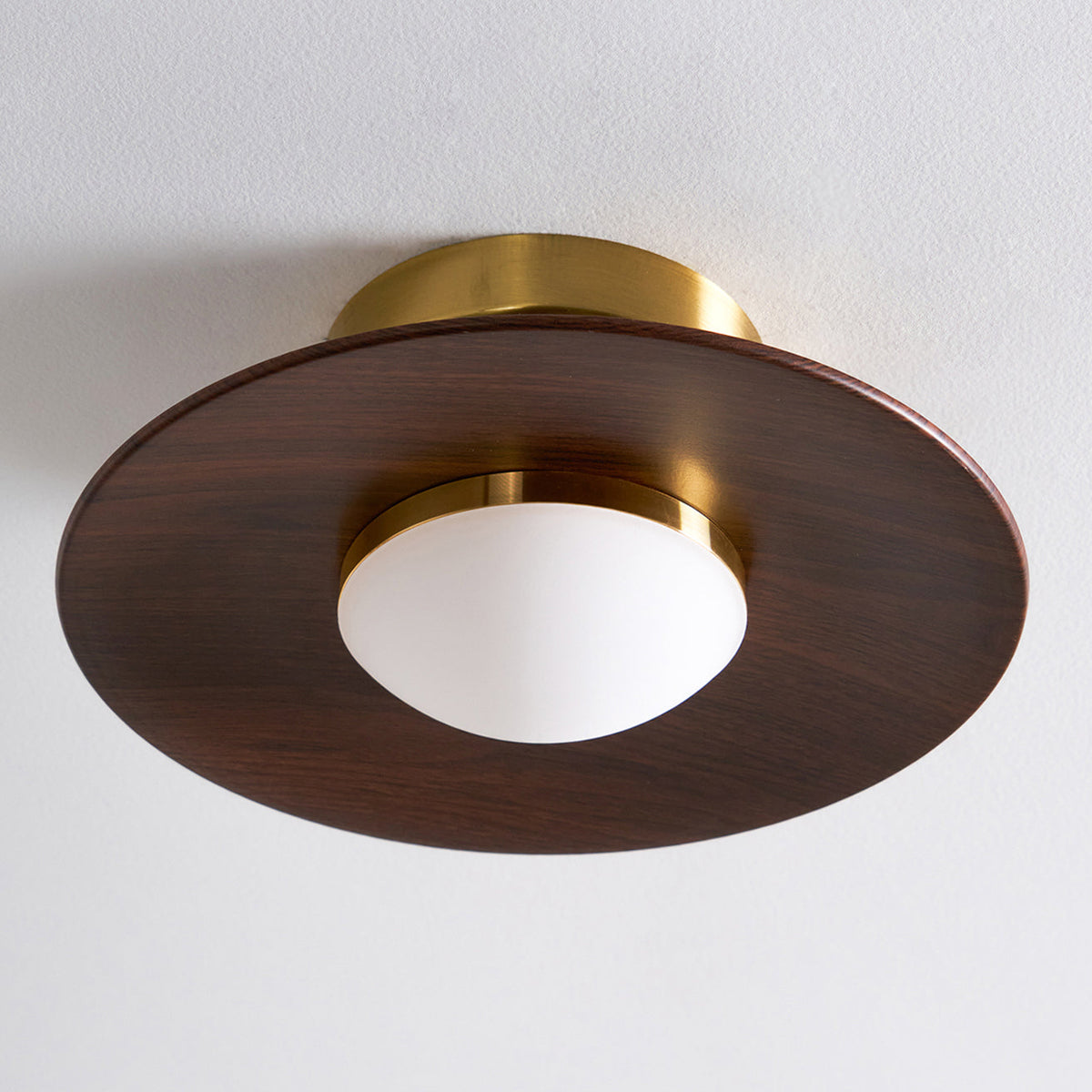 Contemporary LED Ceiling Light Compact Flush Mount Design