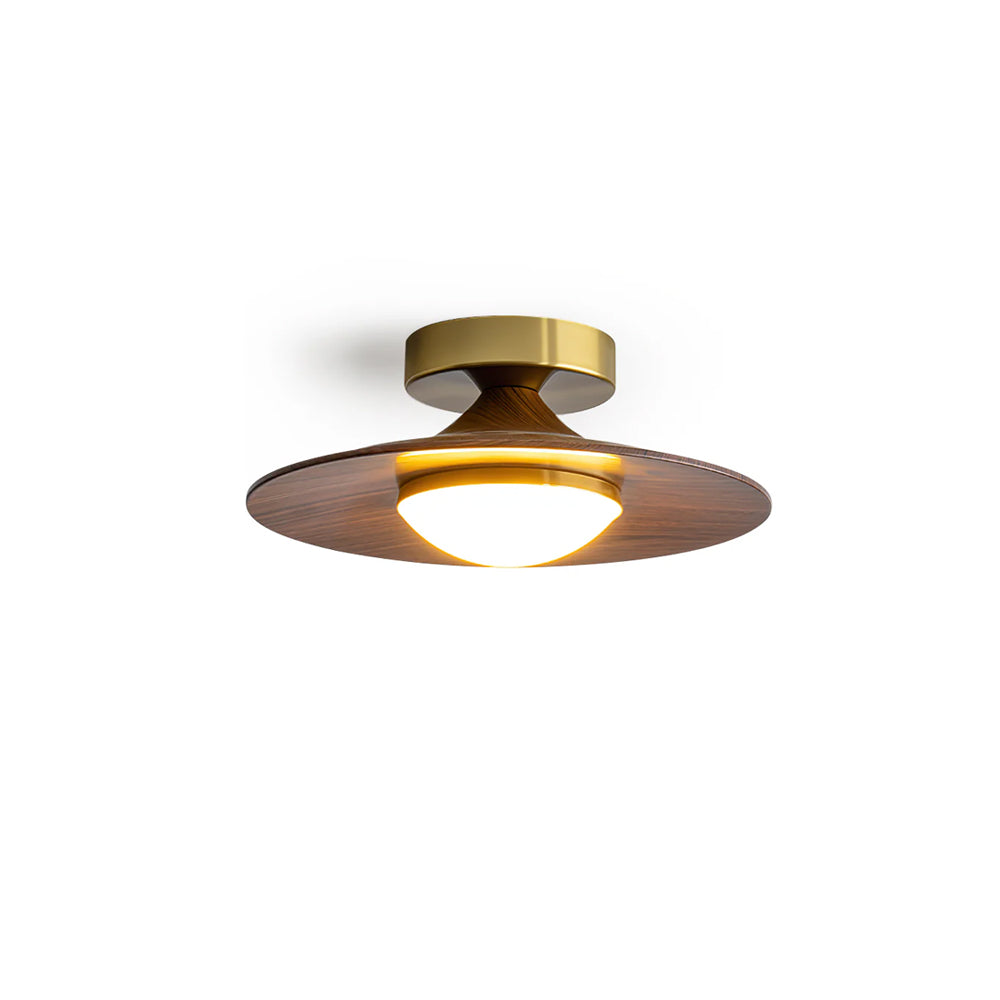 Contemporary LED Ceiling Light Compact Flush Mount Design