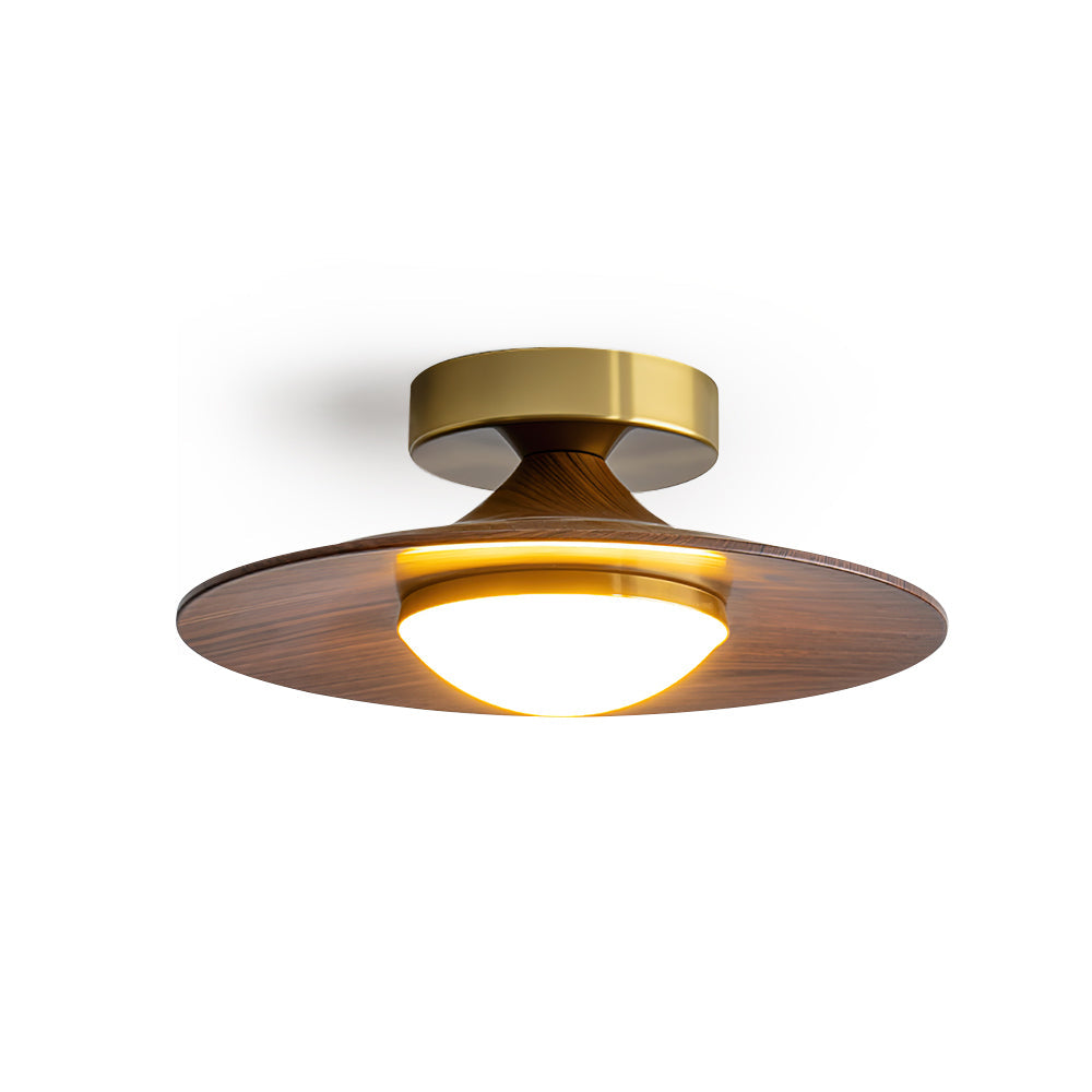 Contemporary LED Ceiling Light Compact Flush Mount Design