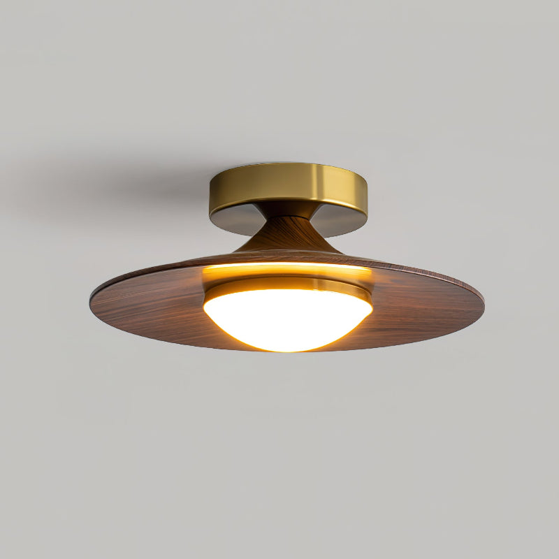Contemporary LED Ceiling Light Compact Flush Mount Design