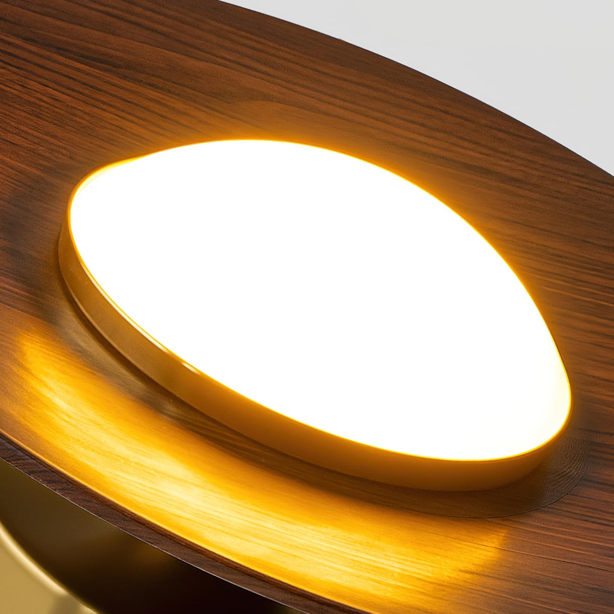 Contemporary LED Ceiling Light Compact Flush Mount Design