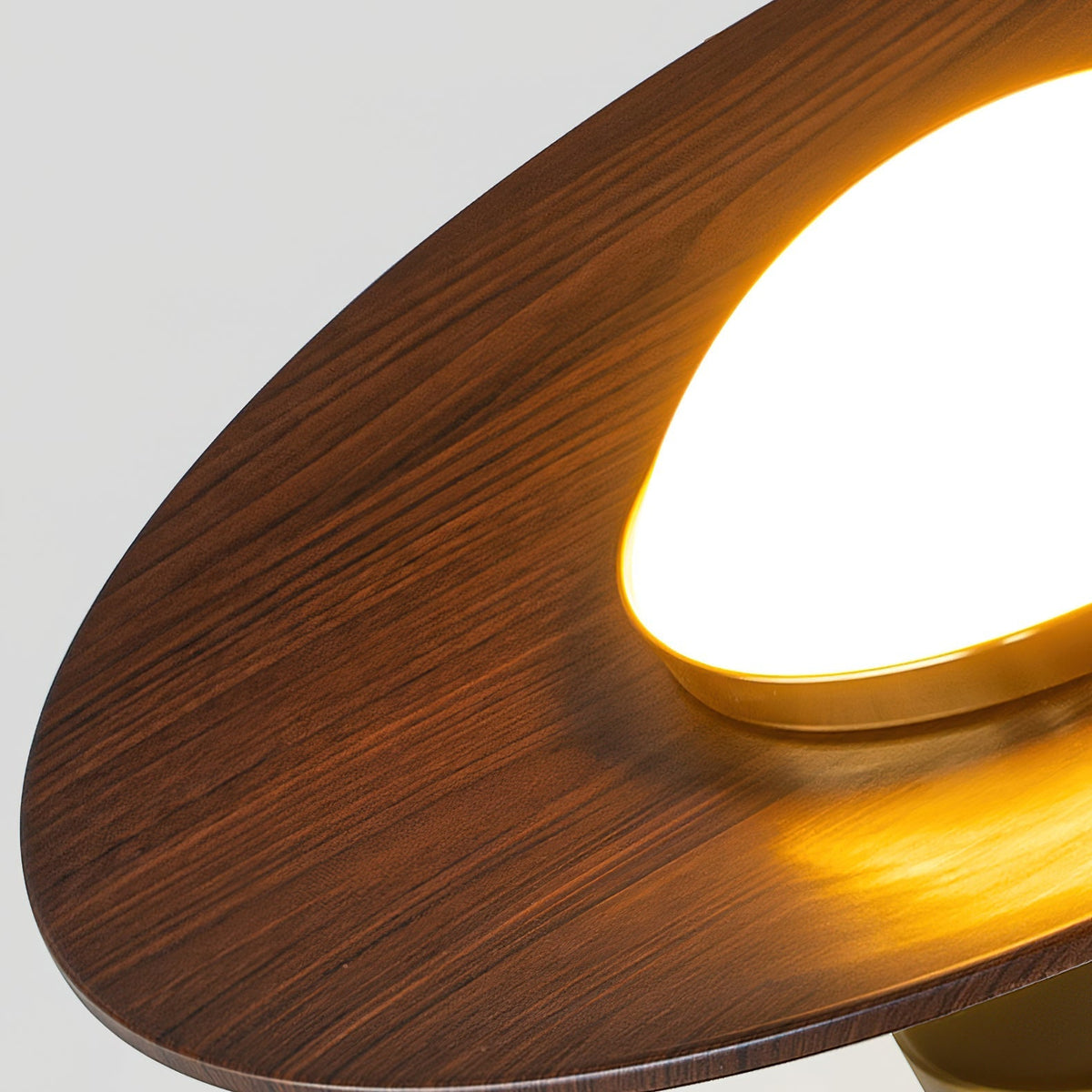 Contemporary LED Ceiling Light Compact Flush Mount Design