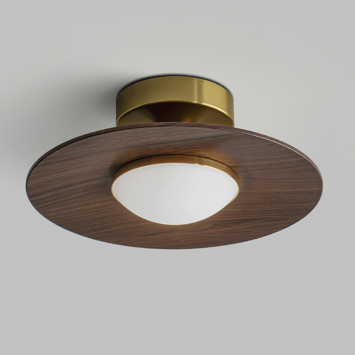 Contemporary LED Ceiling Light Compact Flush Mount Design