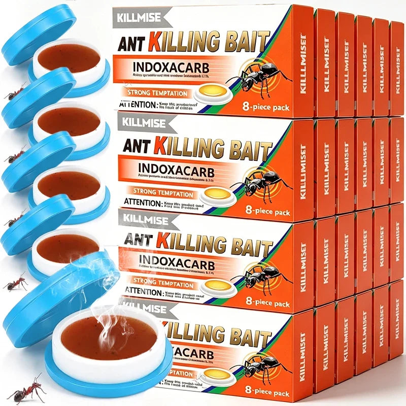 Household Ant Bait Trap for Kitchen & Garden Use