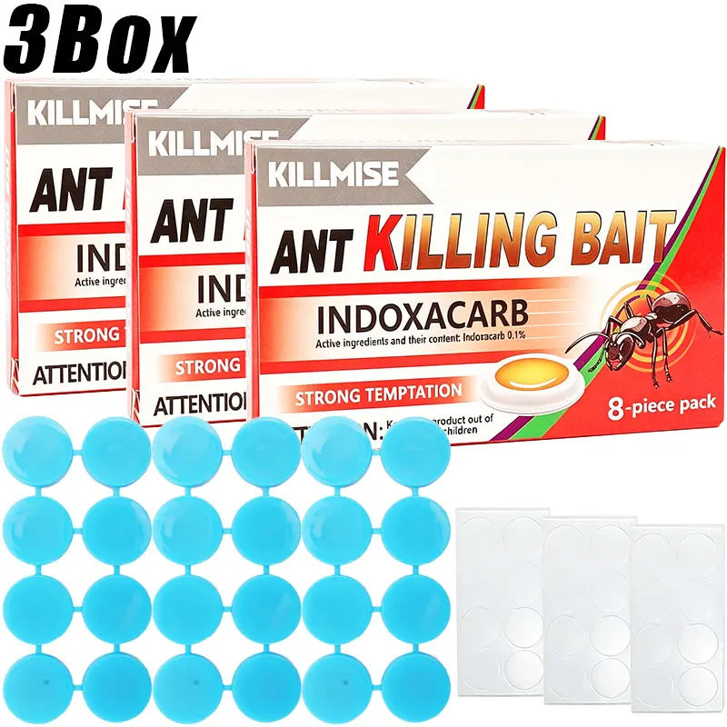 Household Ant Bait Trap for Kitchen & Garden Use