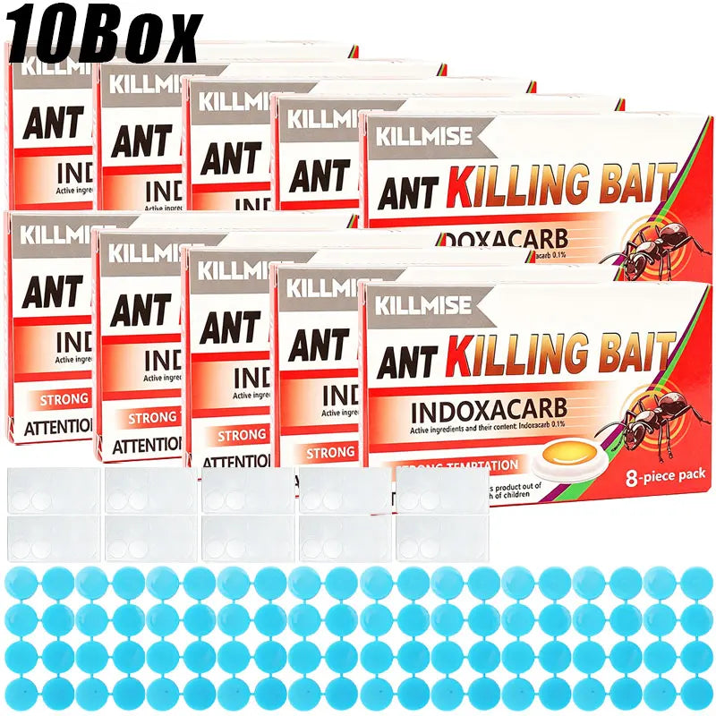 Household Ant Bait Trap for Kitchen & Garden Use