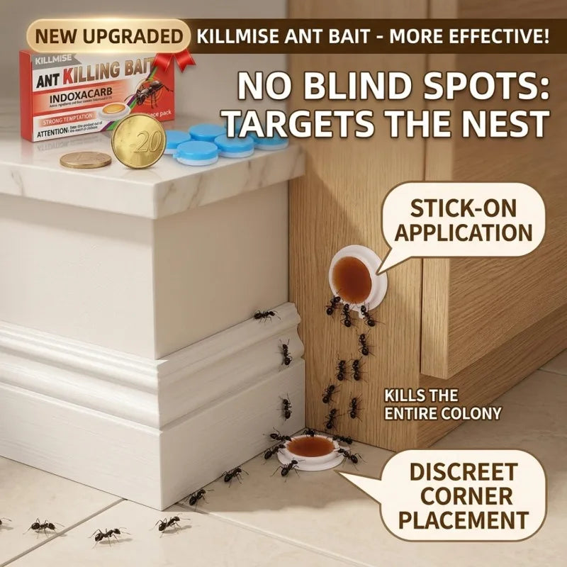 Household Ant Bait Trap for Kitchen & Garden Use