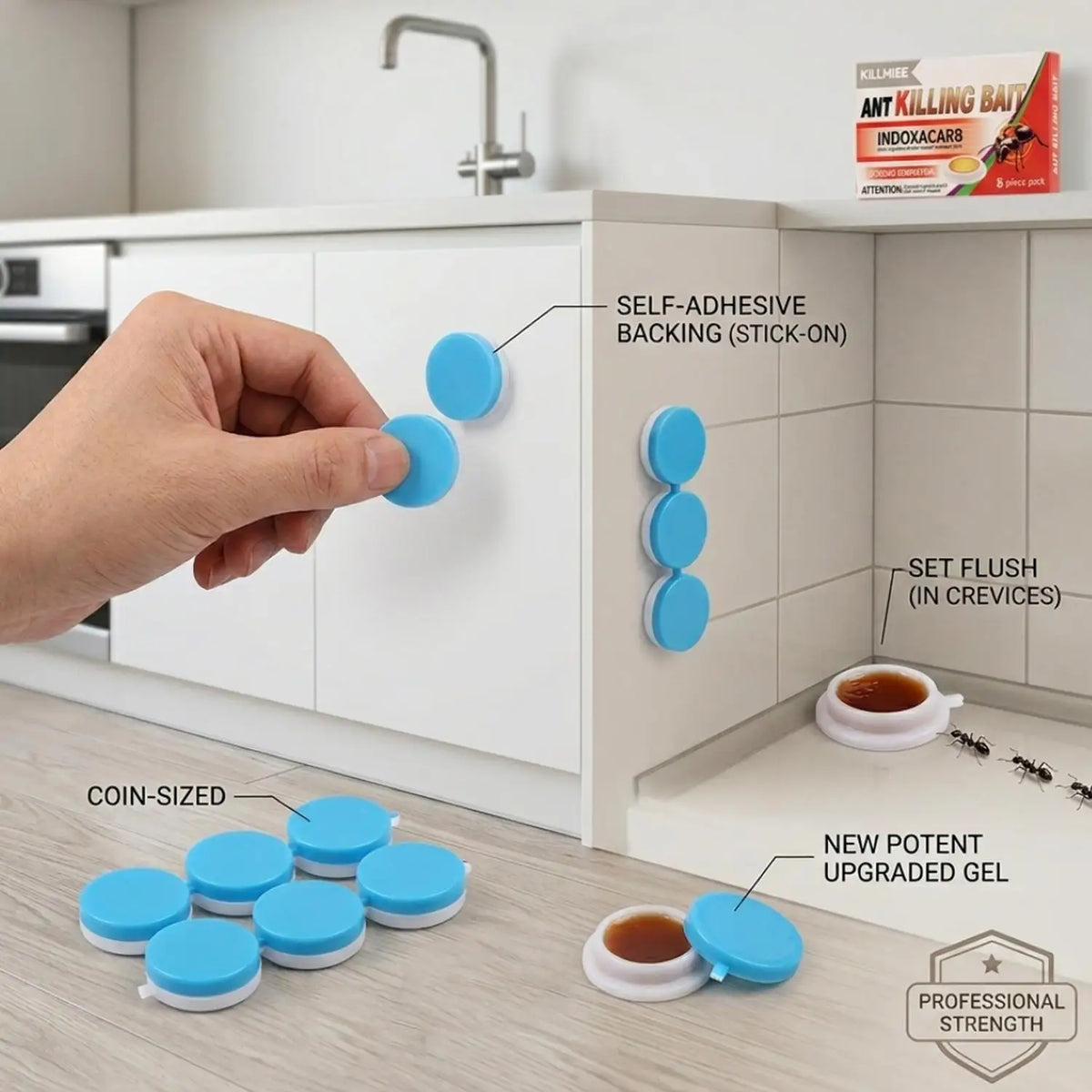 Household Ant Bait Trap for Kitchen & Garden Use