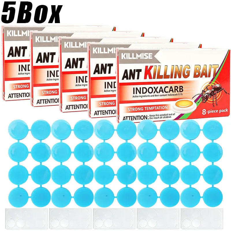 Household Ant Bait Trap for Kitchen & Garden Use