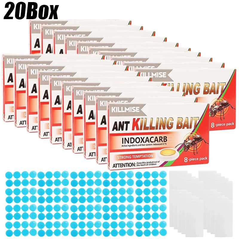 Household Ant Bait Trap for Kitchen & Garden Use