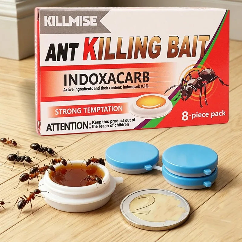 Household Ant Bait Trap for Kitchen & Garden Use