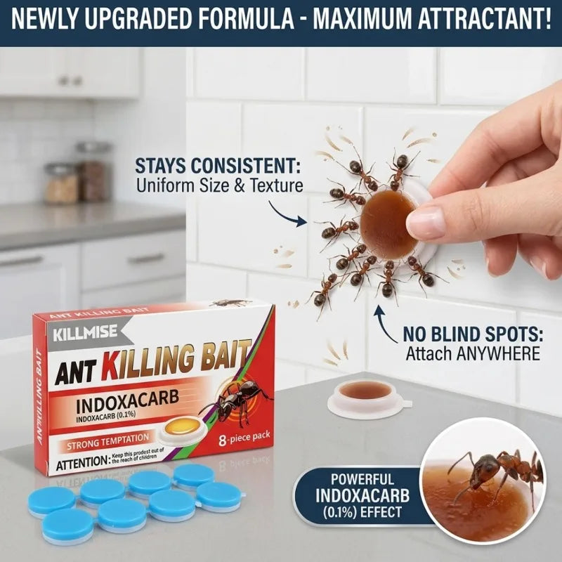 Household Ant Bait Trap for Kitchen & Garden Use